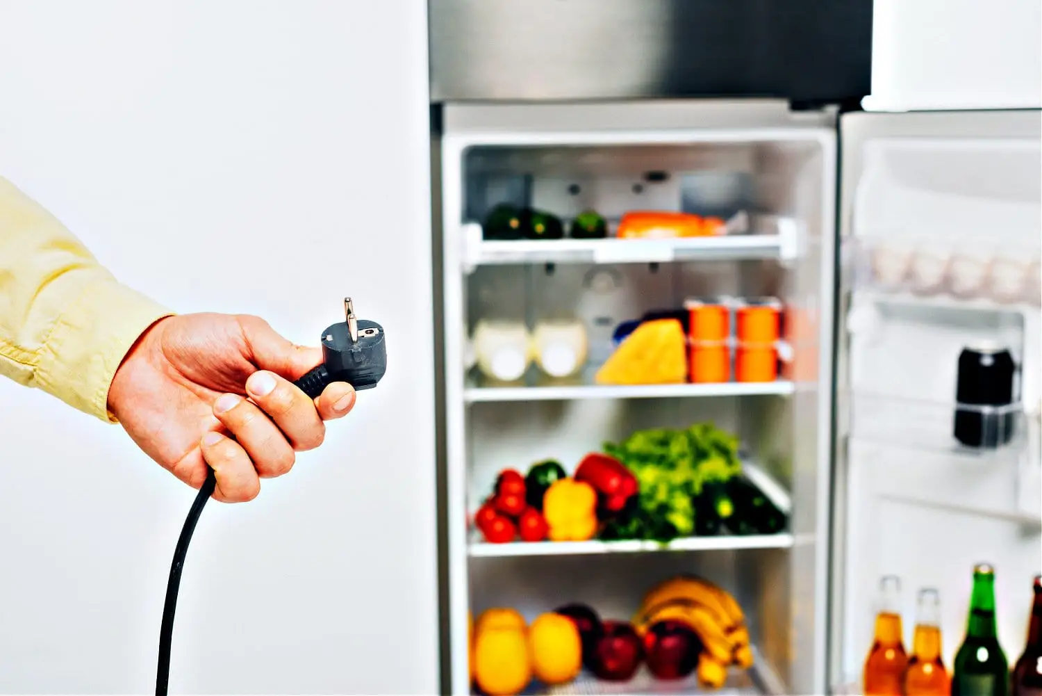 Should You Unplug the Refrigerator for a Long Vacation