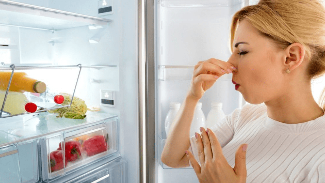 Deodorize your refrigerator - Fridge Repair